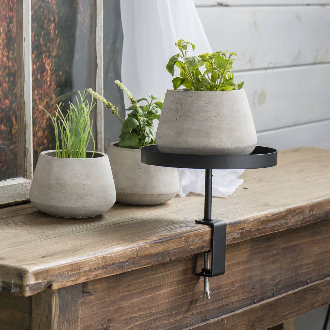 Cement Planter