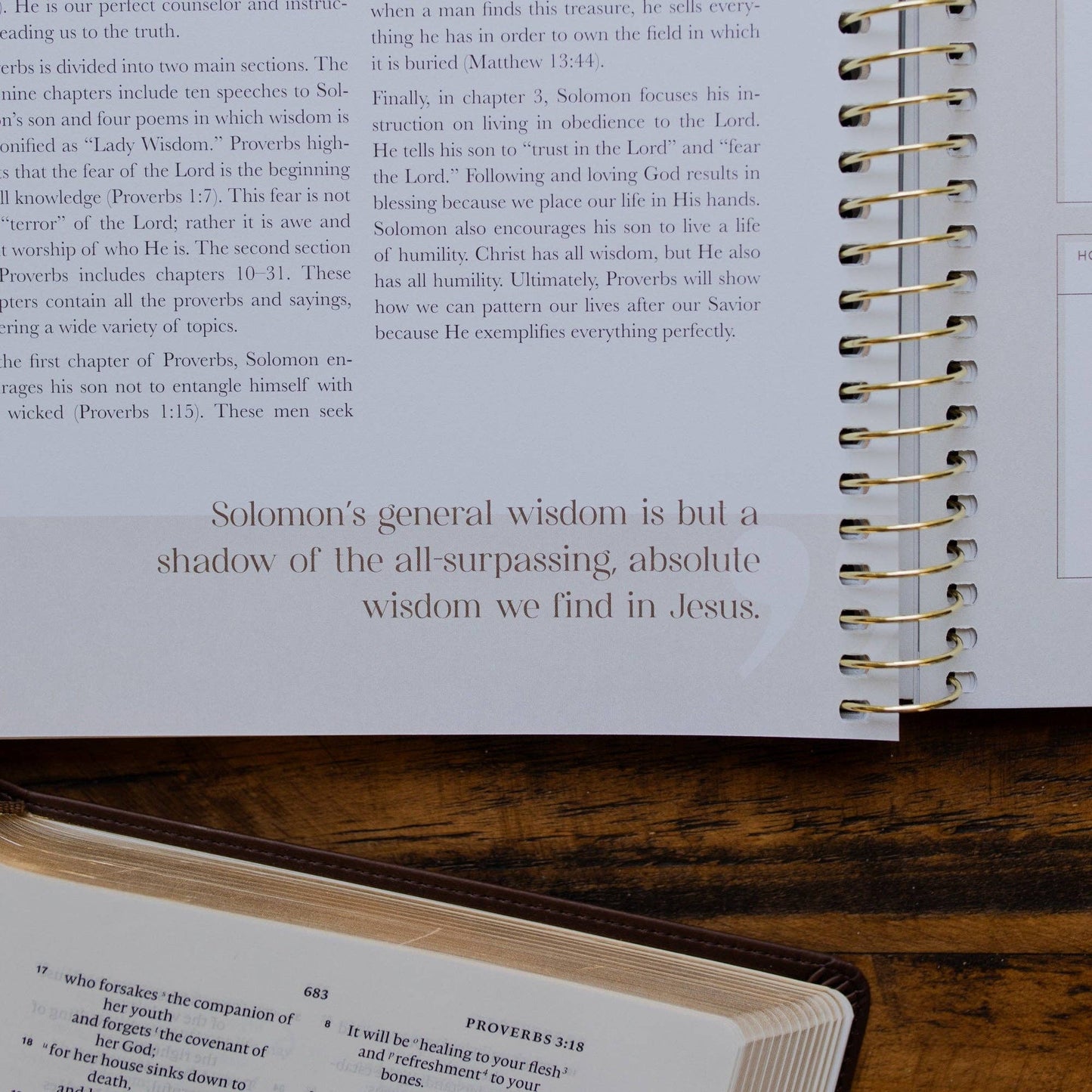 Eden to Eternity | Chronological Bible Study | Volume 2 (Spiral Bound)