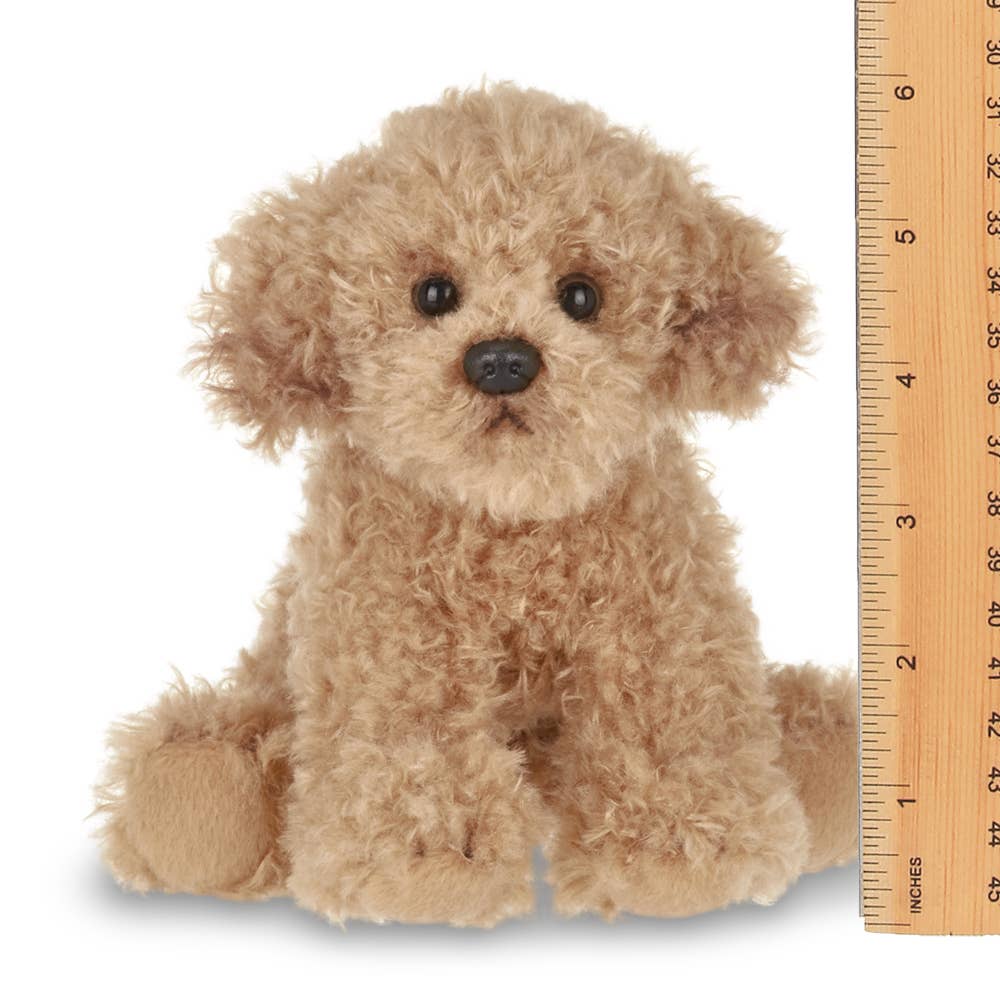 Lil' Doodles the Labradoodle