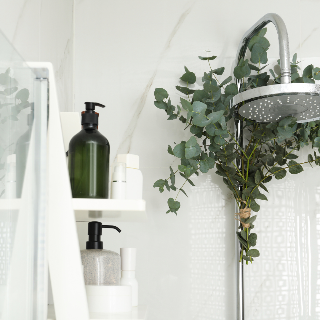 eucalyptus plant to hang in shower Fresh Eucalyptus Shower Bundle – Baxter Flowers and Gifts