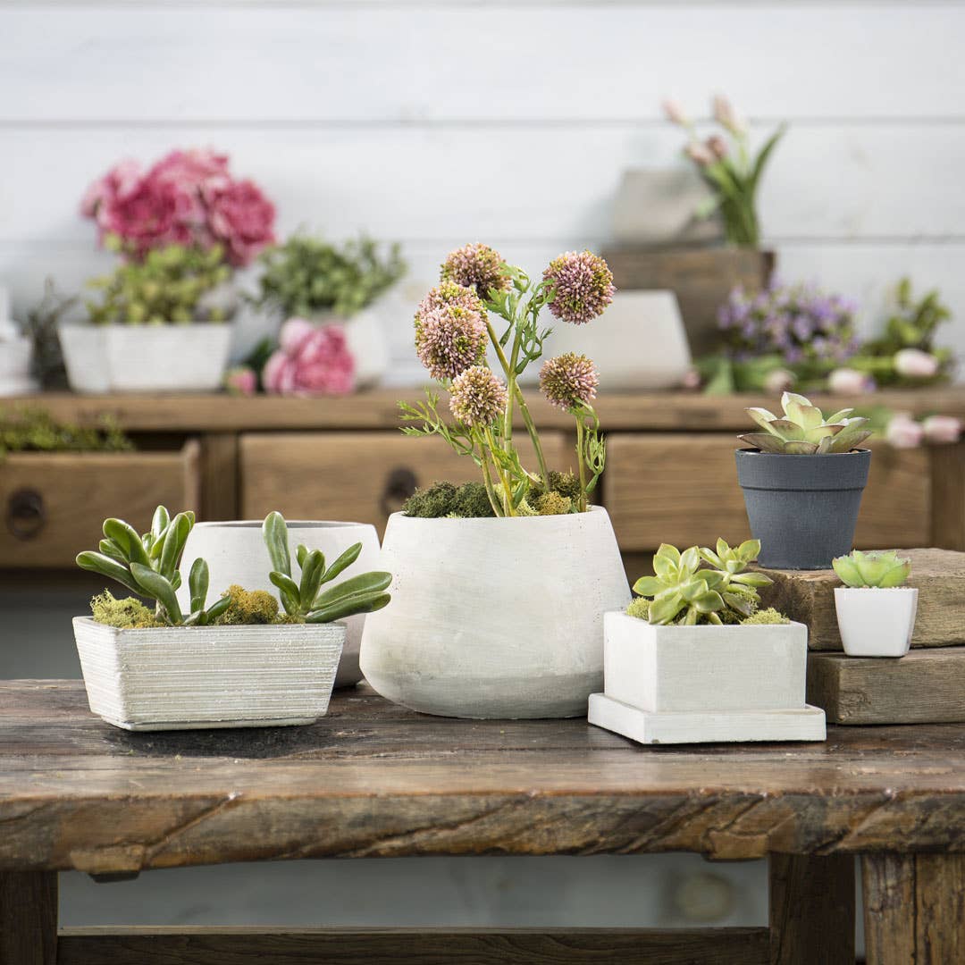 Cement Planter