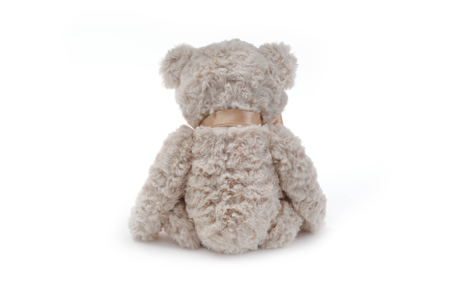 Huggles the Teddy Bear