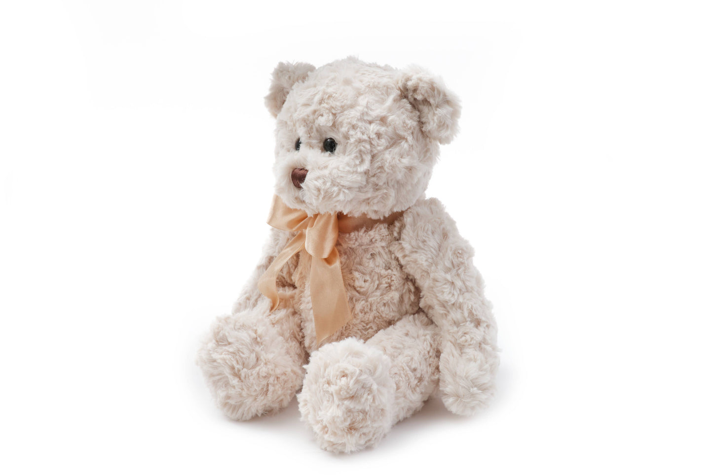Huggles the Teddy Bear
