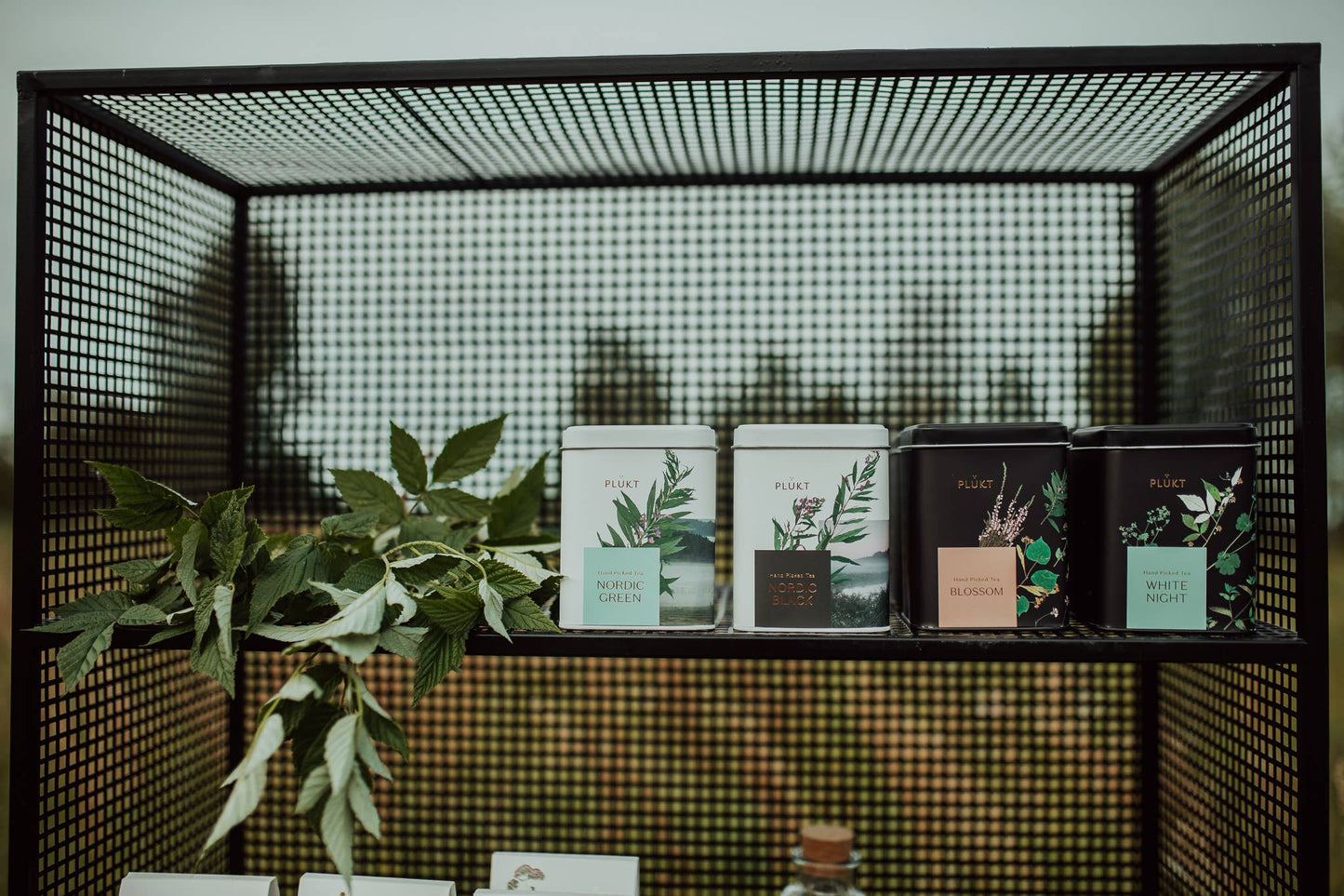 Tea Blend White Night - calming evening herbal , Christmas: 25 biodegradable bags free from plastic