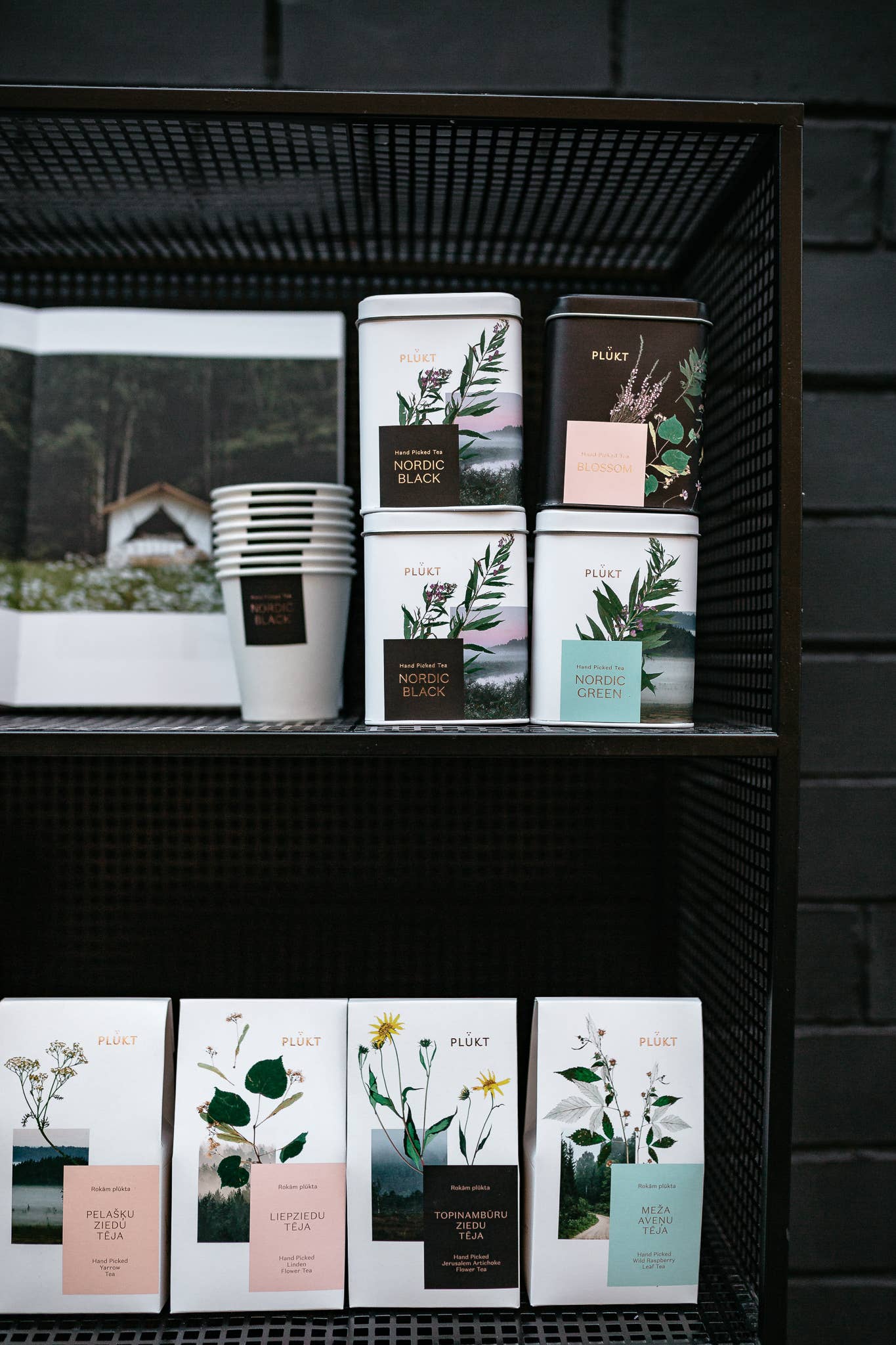 Linden Tea - honey tea, certified organic Nordic herbal tea