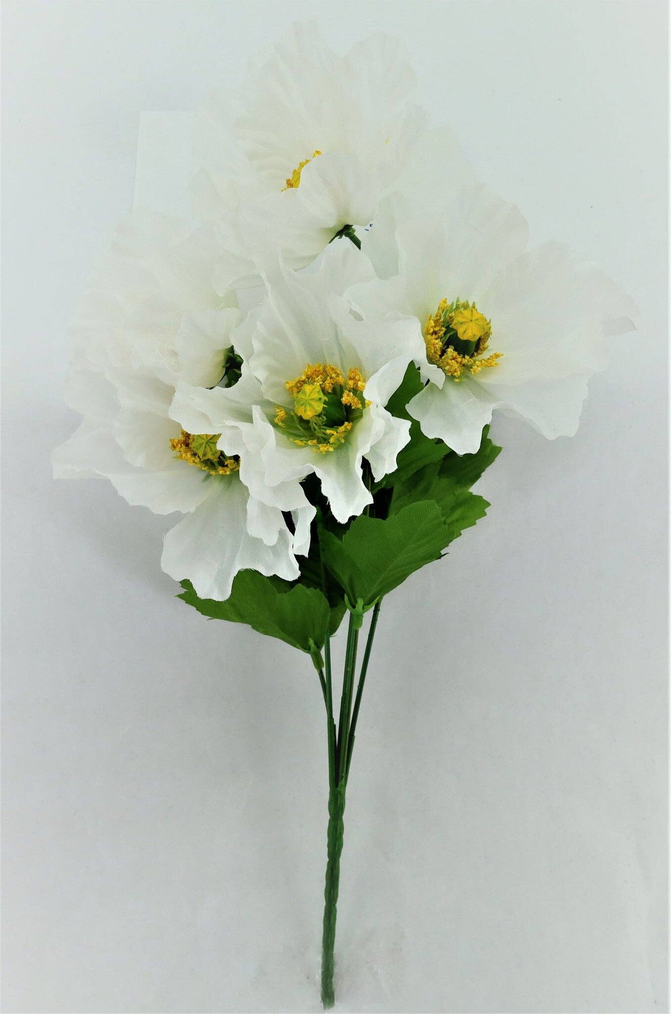 Poppy Bush, White
