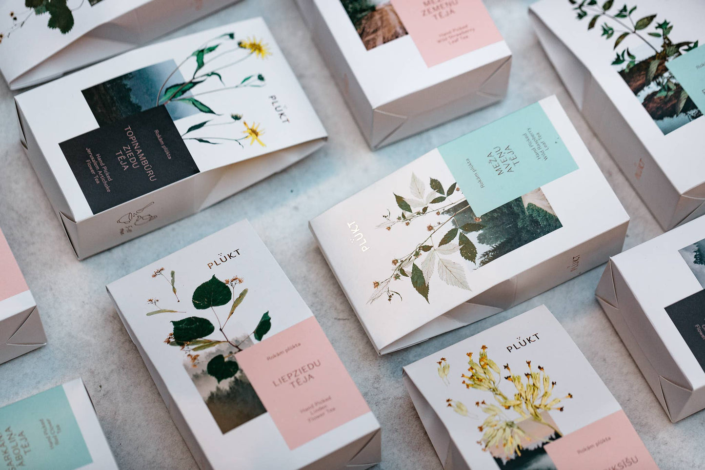 Linden Tea - honey tea, certified organic Nordic herbal tea