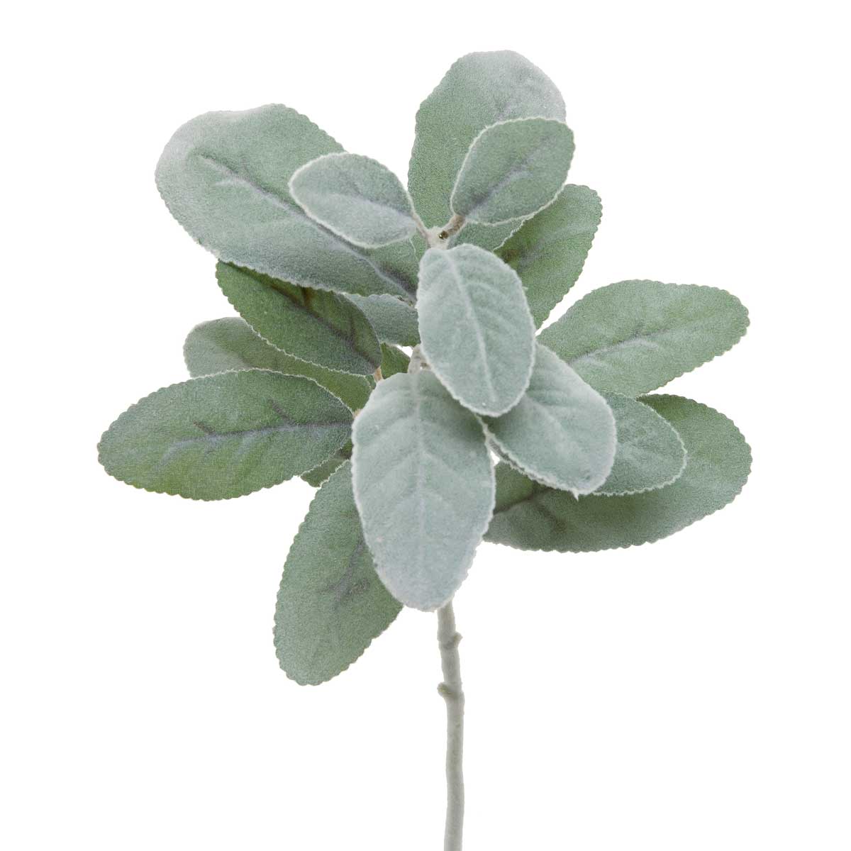 Lambs Ear Pick