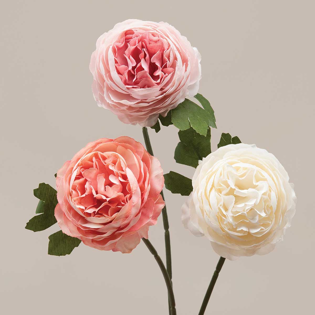 Peony, Peach