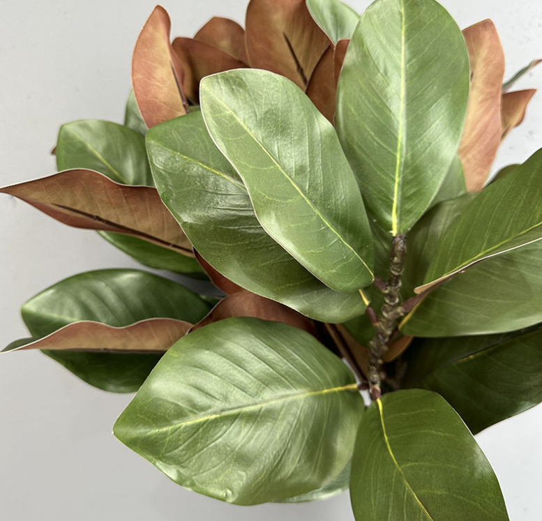 22''T Nature Touch Faux Magnolia Leaf Branch, Indoor/Ourdoor