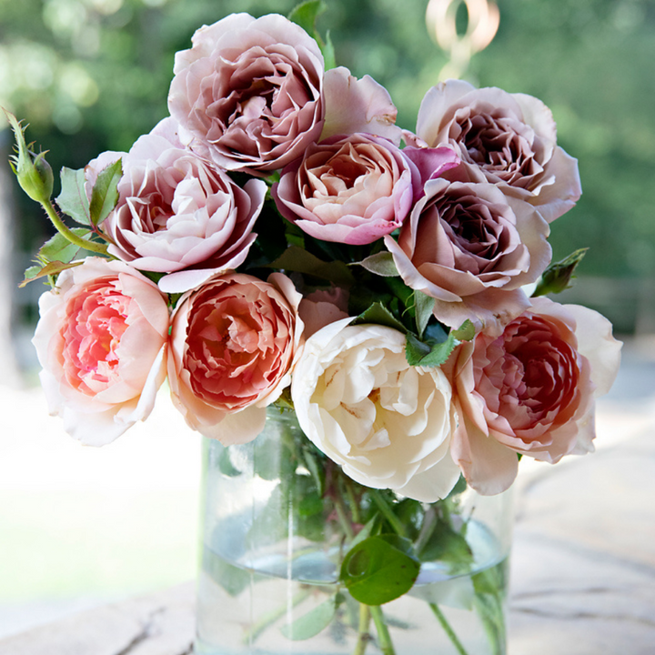 Mail Me Roses Paint By Number Kit