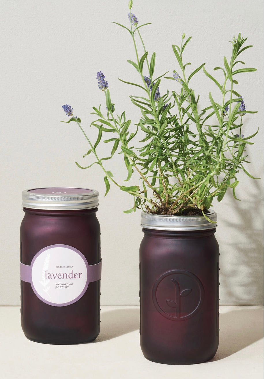 lavender flower garden kit Garden jar