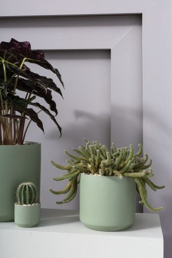 Kendall Pot Green