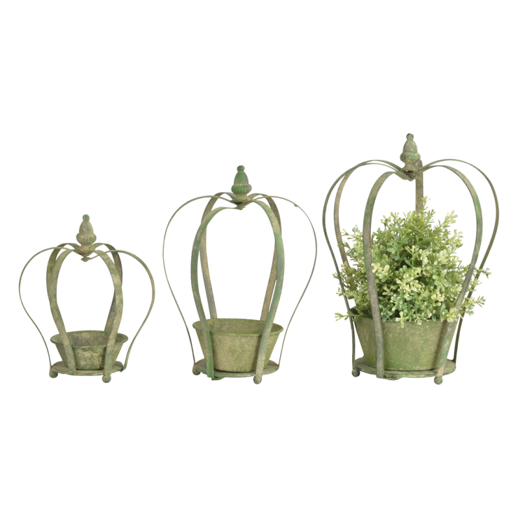 Green Crown Planter