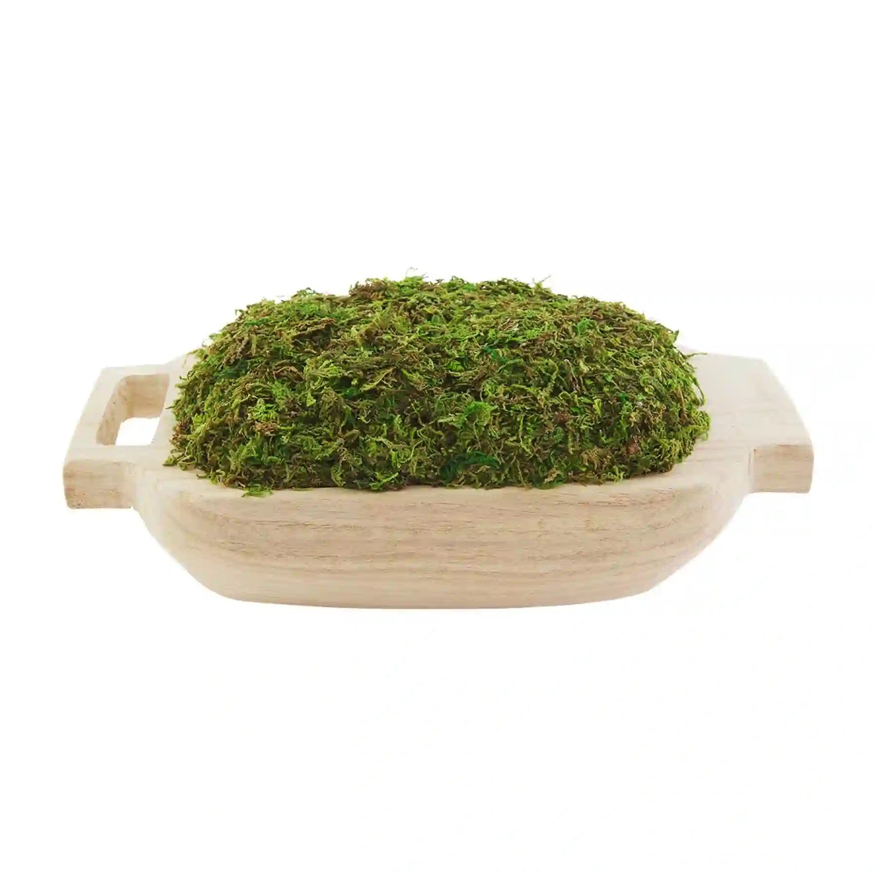 Small Moss Tray – Baxter Flowers and Gifts