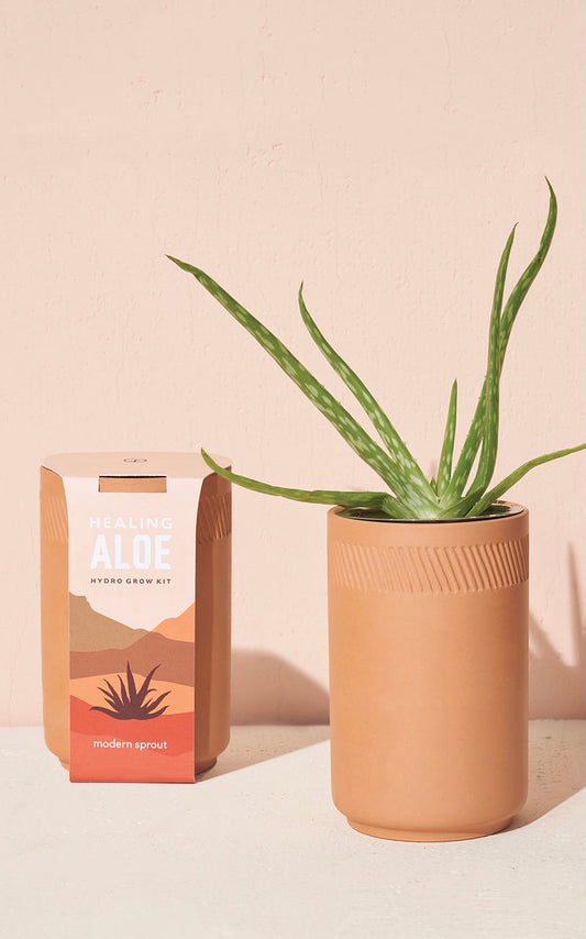 Terracotta Grow Kits