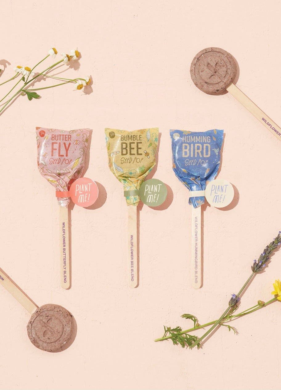 Seed Lollipop - Pollinator - 3 Pack