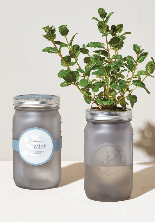 Garden Jar - Mint