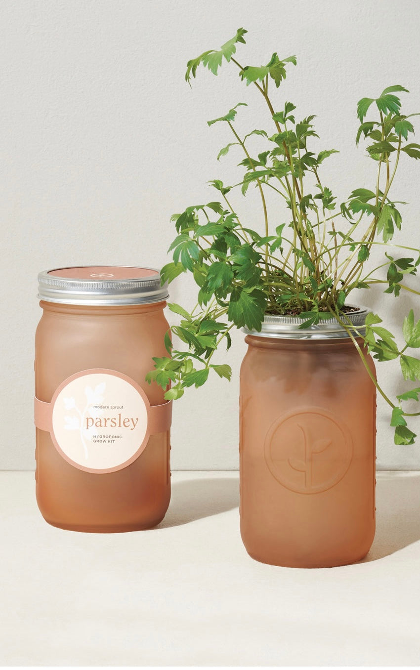 Garden jar - Parsley