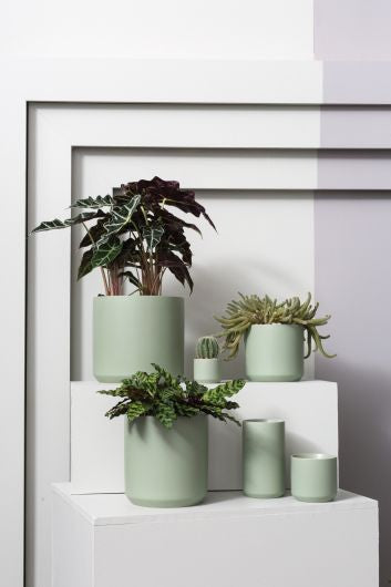 Kendall Pot Green