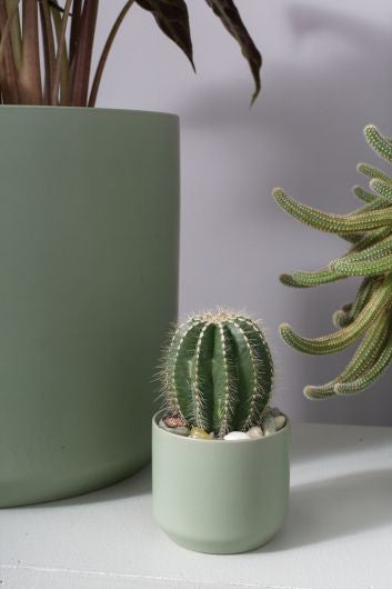 Kendall Pot Green