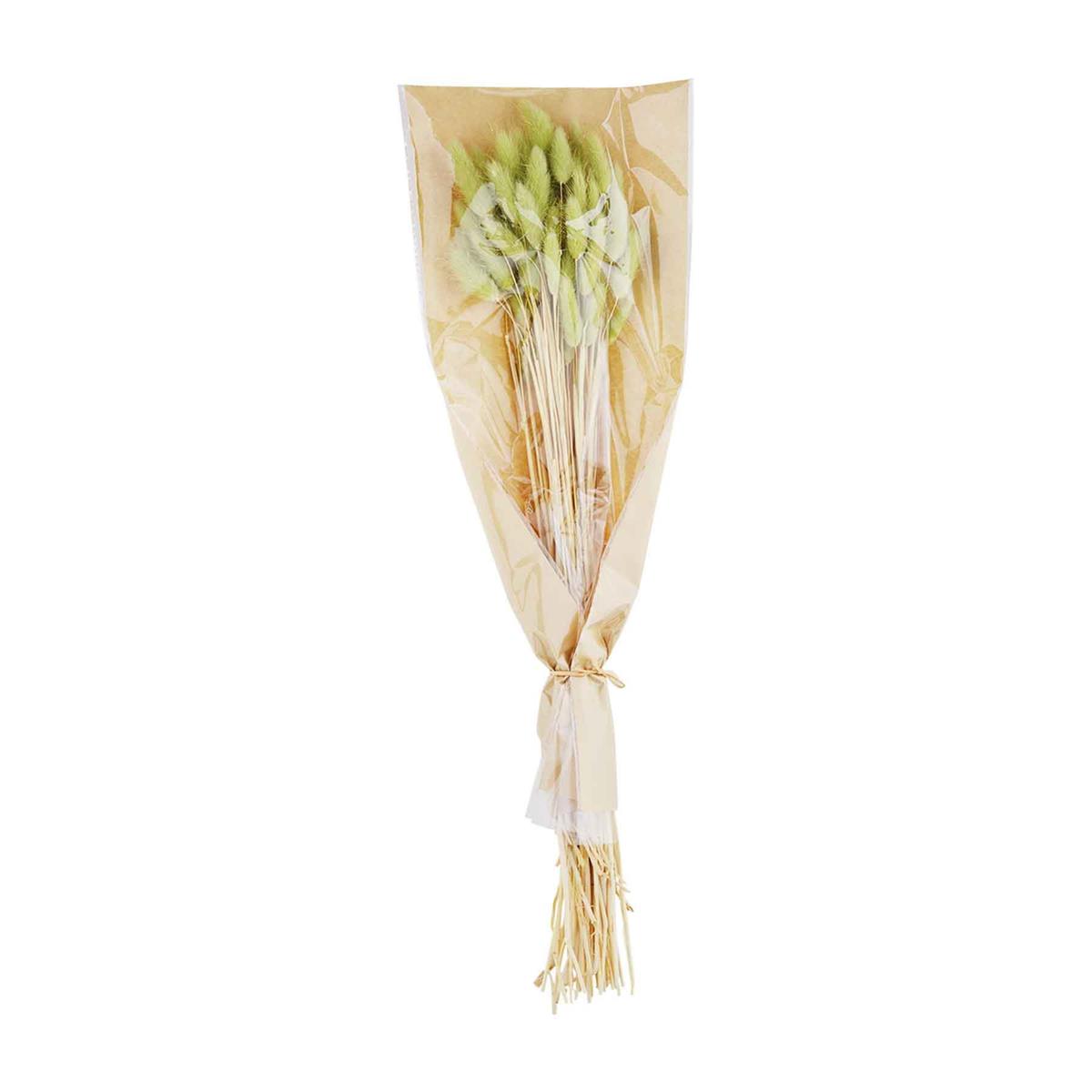 Preserved Bunnytail Stem