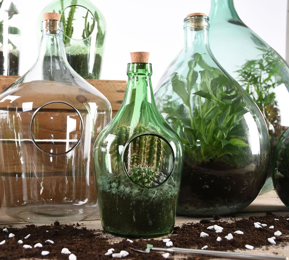 Open terrarium bottle - Medium