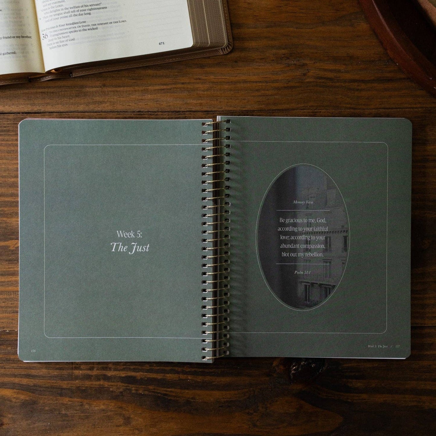 Peaks and Valleys: Learning to Look to Christ in Life's Highs and Lows | A Study on the Life of David