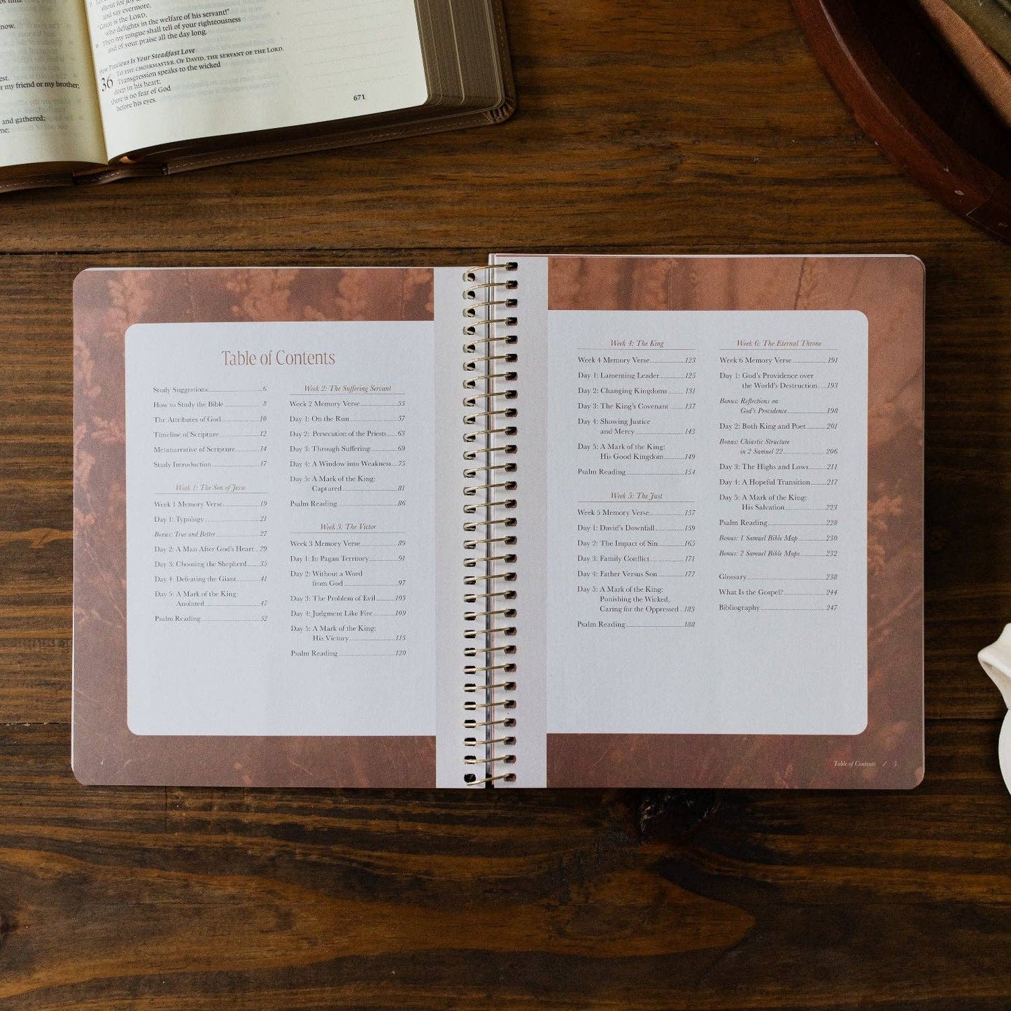 Peaks and Valleys: Learning to Look to Christ in Life's Highs and Lows | A Study on the Life of David