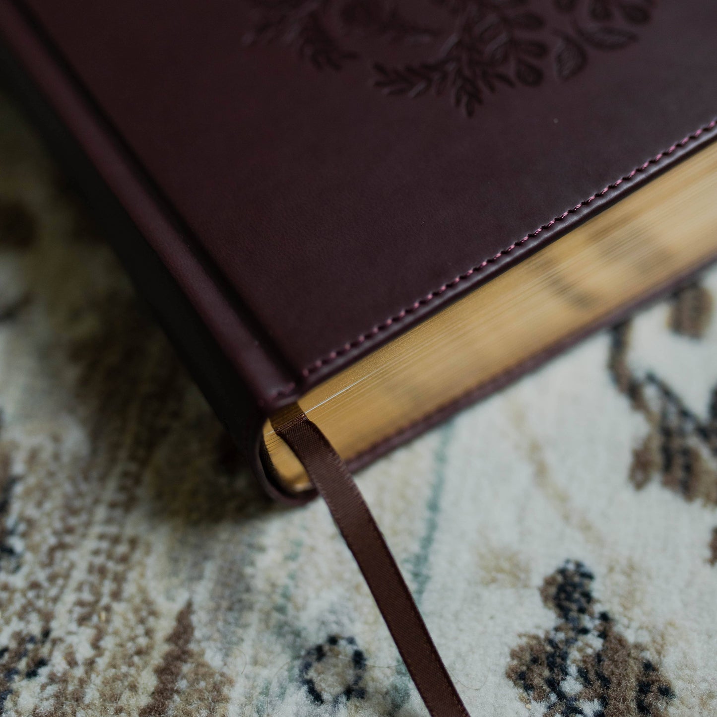 ESV Journaling Study Bible | The Story of Redemption