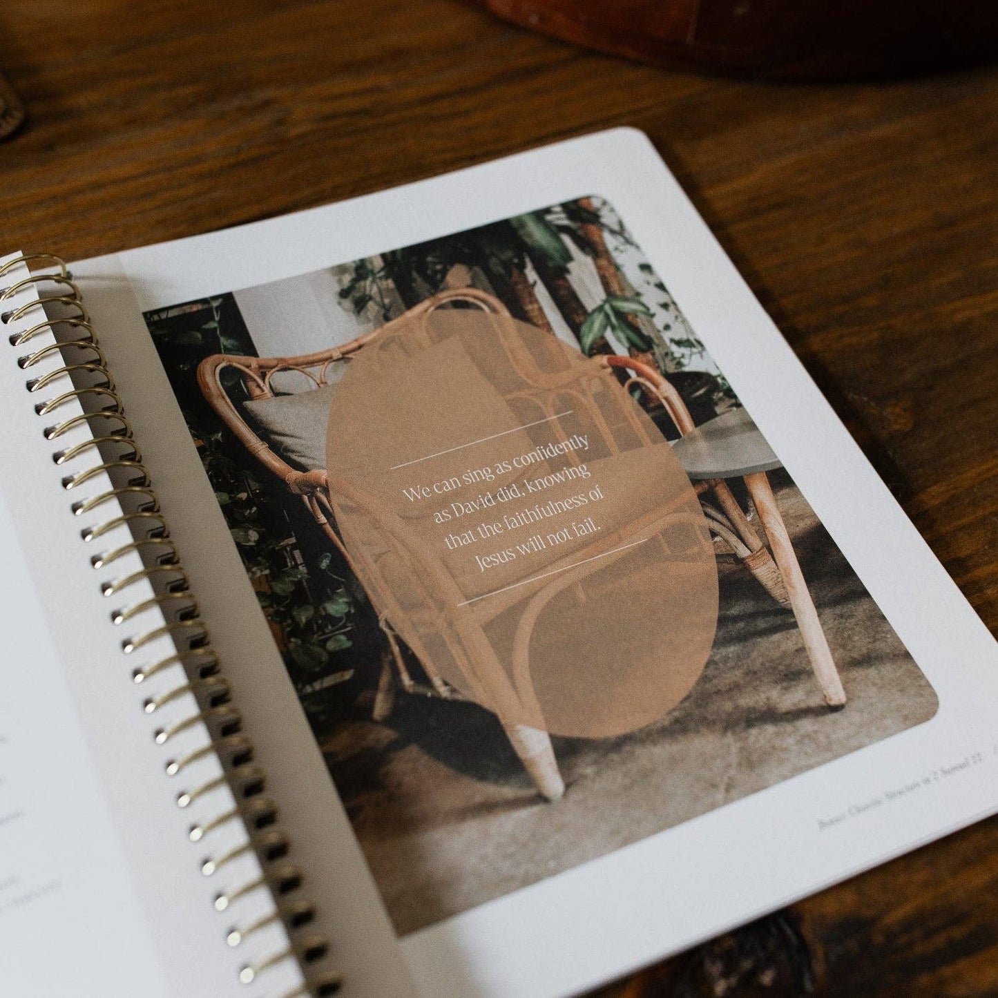 Peaks and Valleys: Learning to Look to Christ in Life's Highs and Lows | A Study on the Life of David