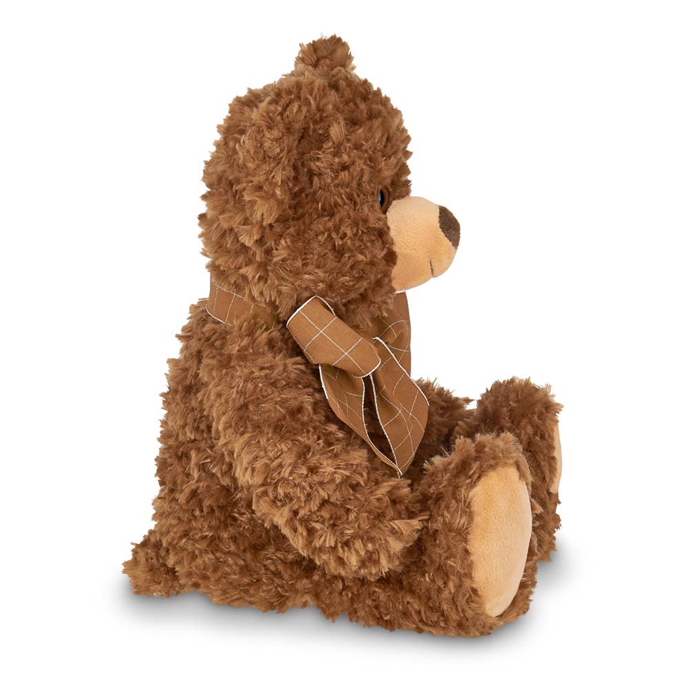 Lil' Reggie the Teddy Bear