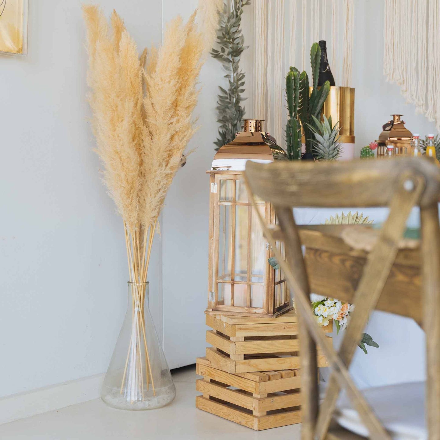 Natural Dried Giant Pampas Grass Stem