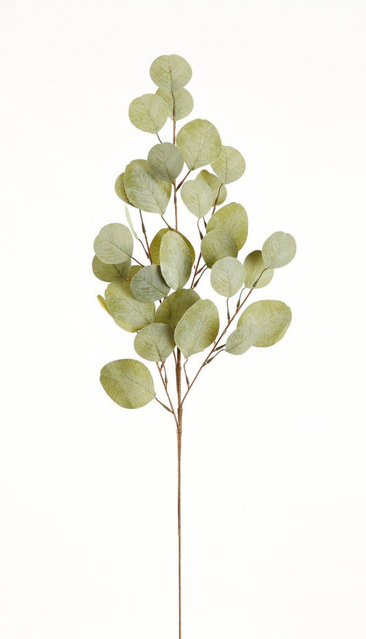 28" Eucalyptus Spray