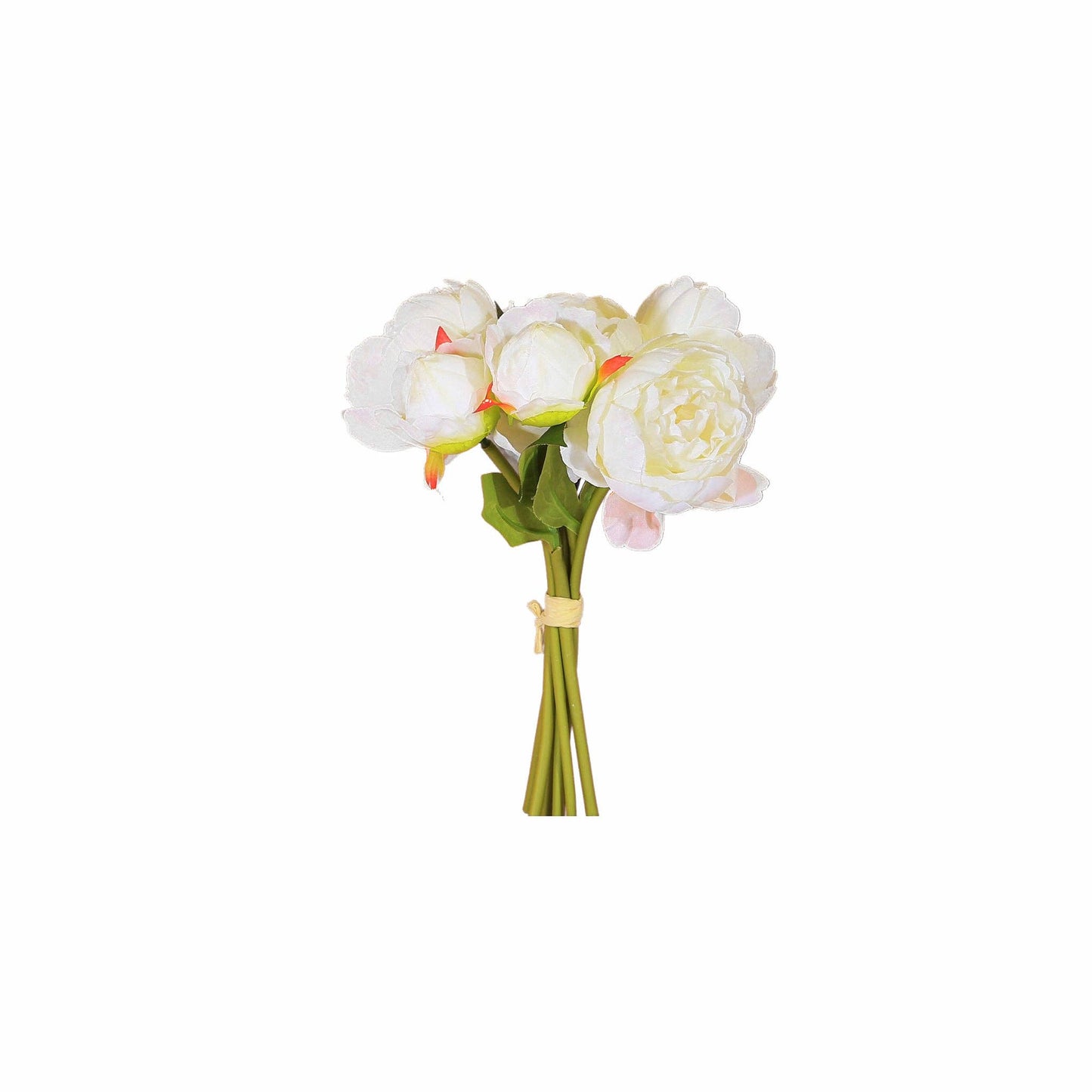 Peony Bundle, Cream