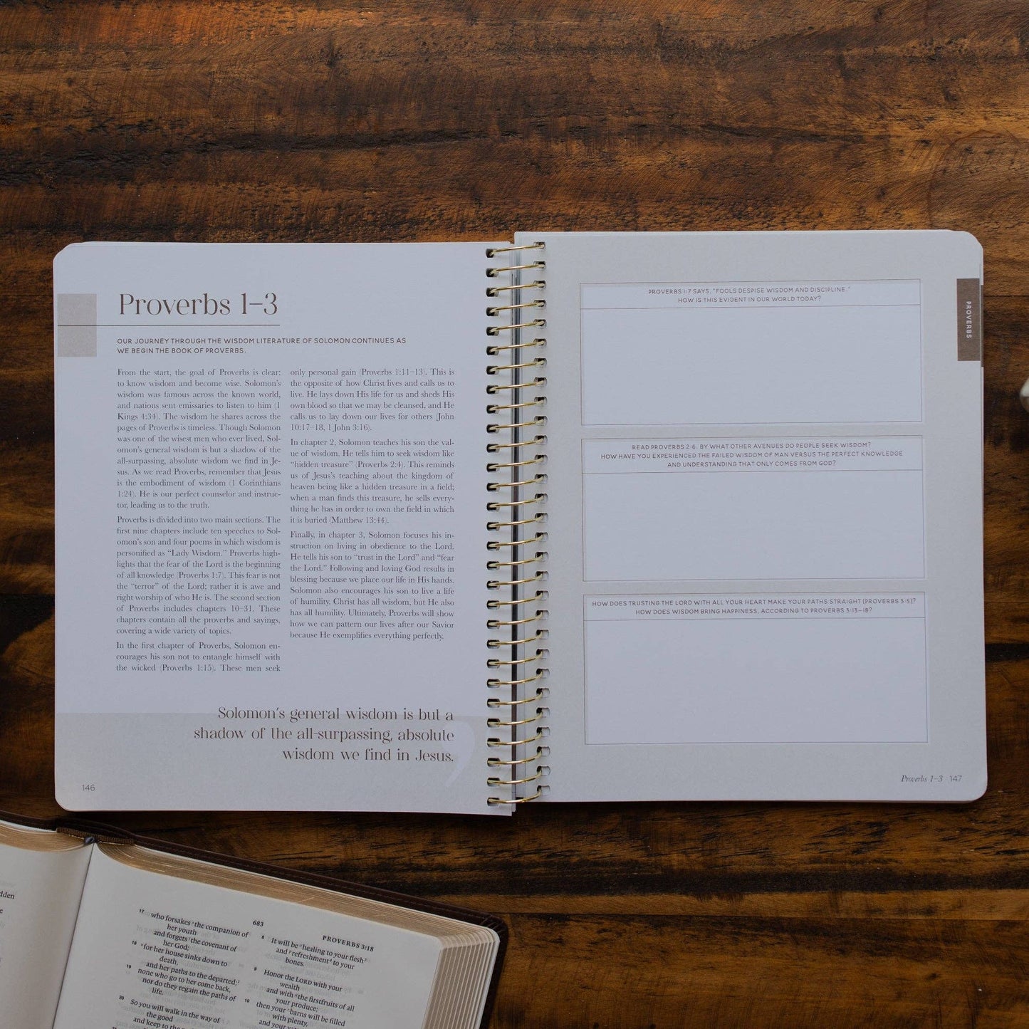 Eden to Eternity | Chronological Bible Study | Volume 2 (Spiral Bound)