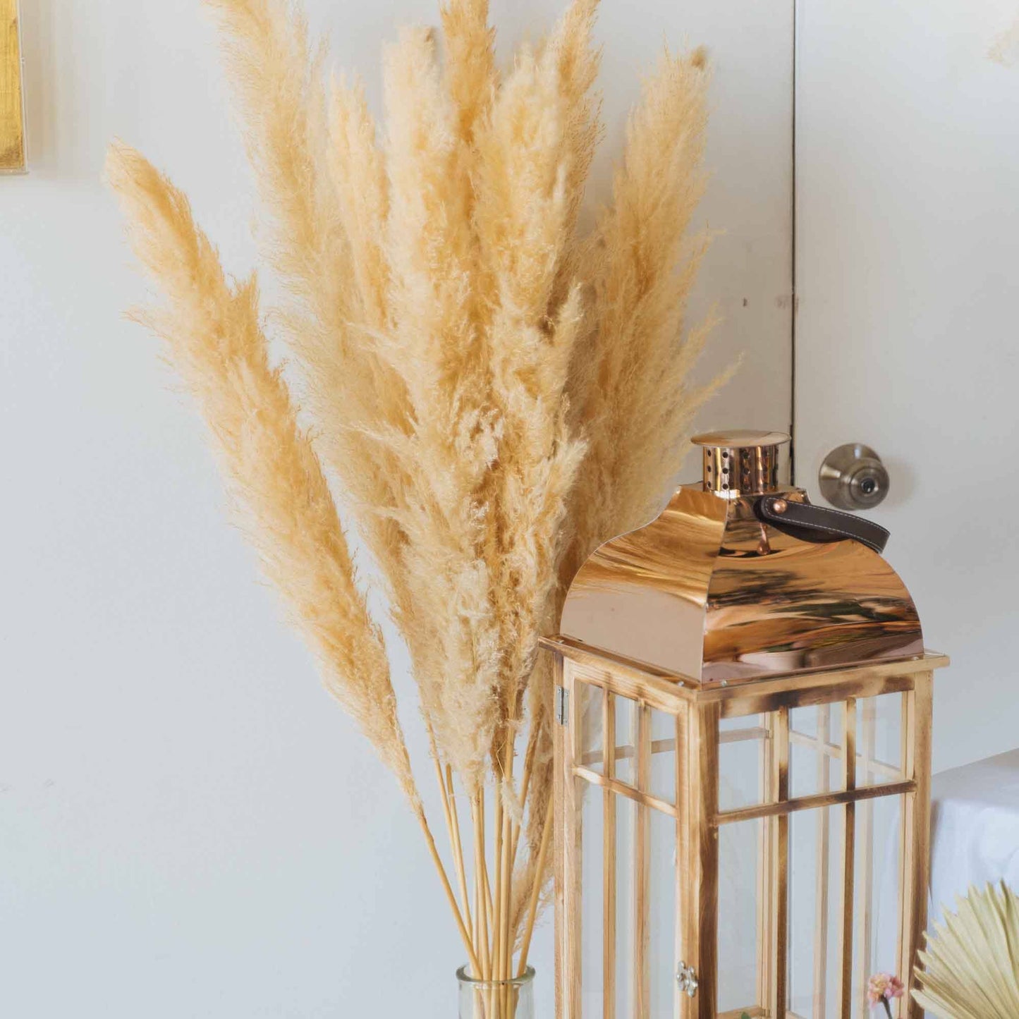 Natural Dried Giant Pampas Grass Stem