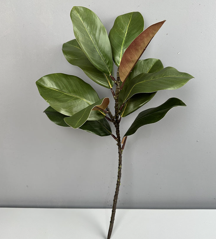 22''T Nature Touch Faux Magnolia Leaf Branch, Indoor/Ourdoor