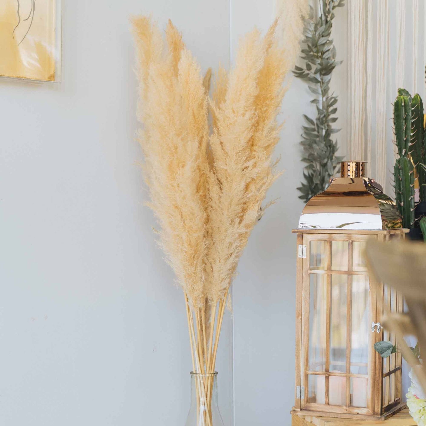 Natural Dried Giant Pampas Grass Stem