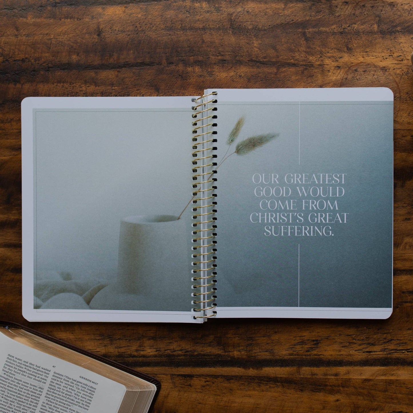 Eden to Eternity | Chronological Bible Study | Volume 1 (Spiral Bound)