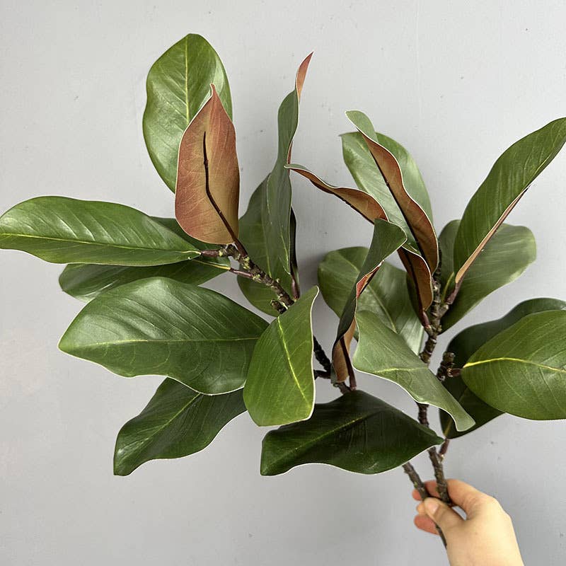 22''T Nature Touch Faux Magnolia Leaf Branch, Indoor/Ourdoor