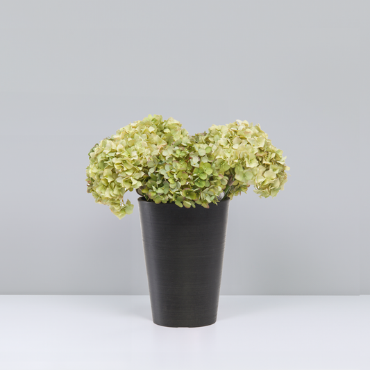 Floral Storage Bucket - Recycled Plastic - 7.9"D 10.6"H