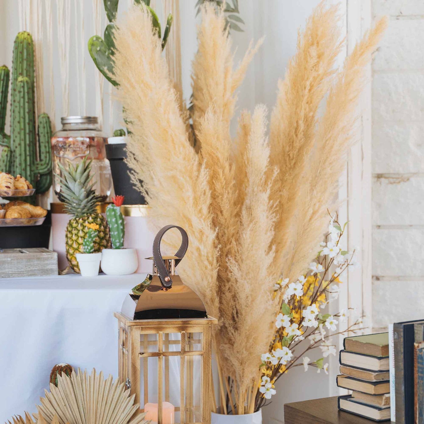 Natural Dried Giant Pampas Grass Stem