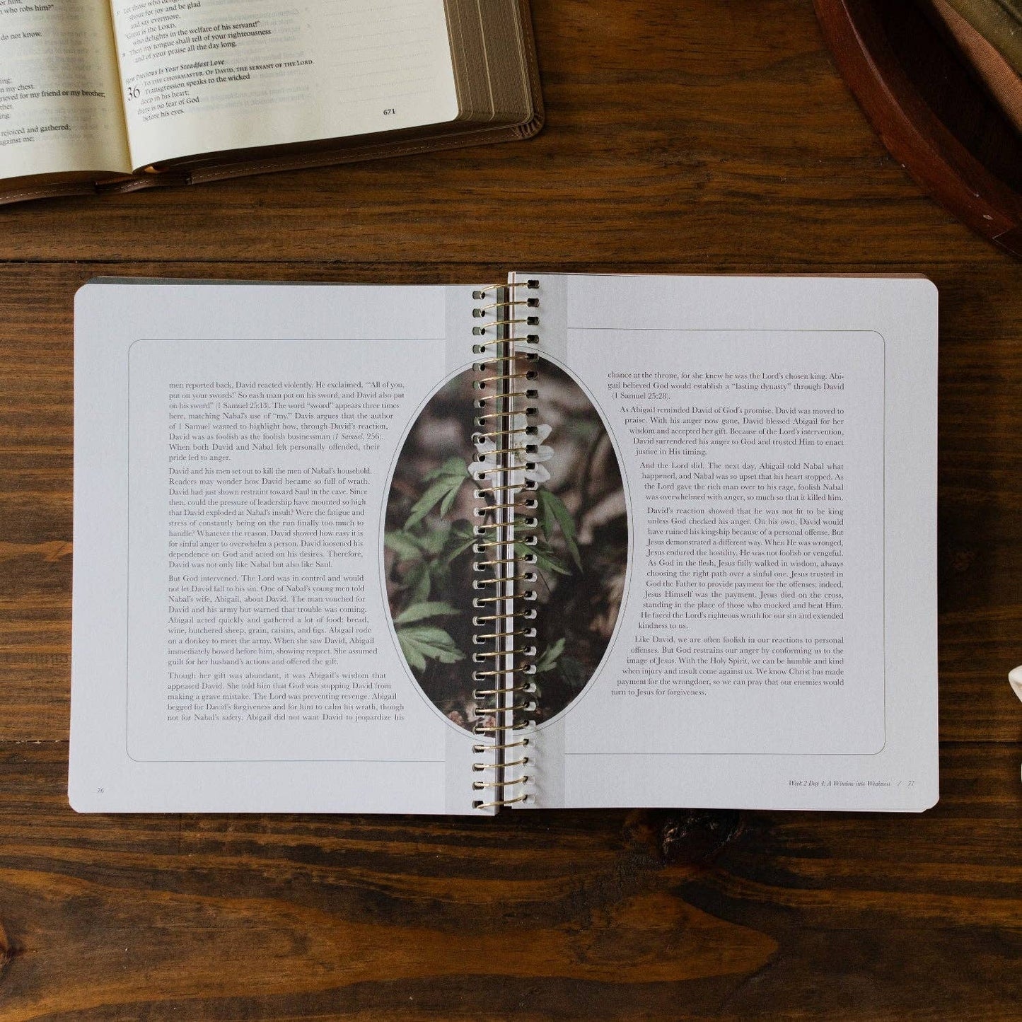 Peaks and Valleys: Learning to Look to Christ in Life's Highs and Lows | A Study on the Life of David