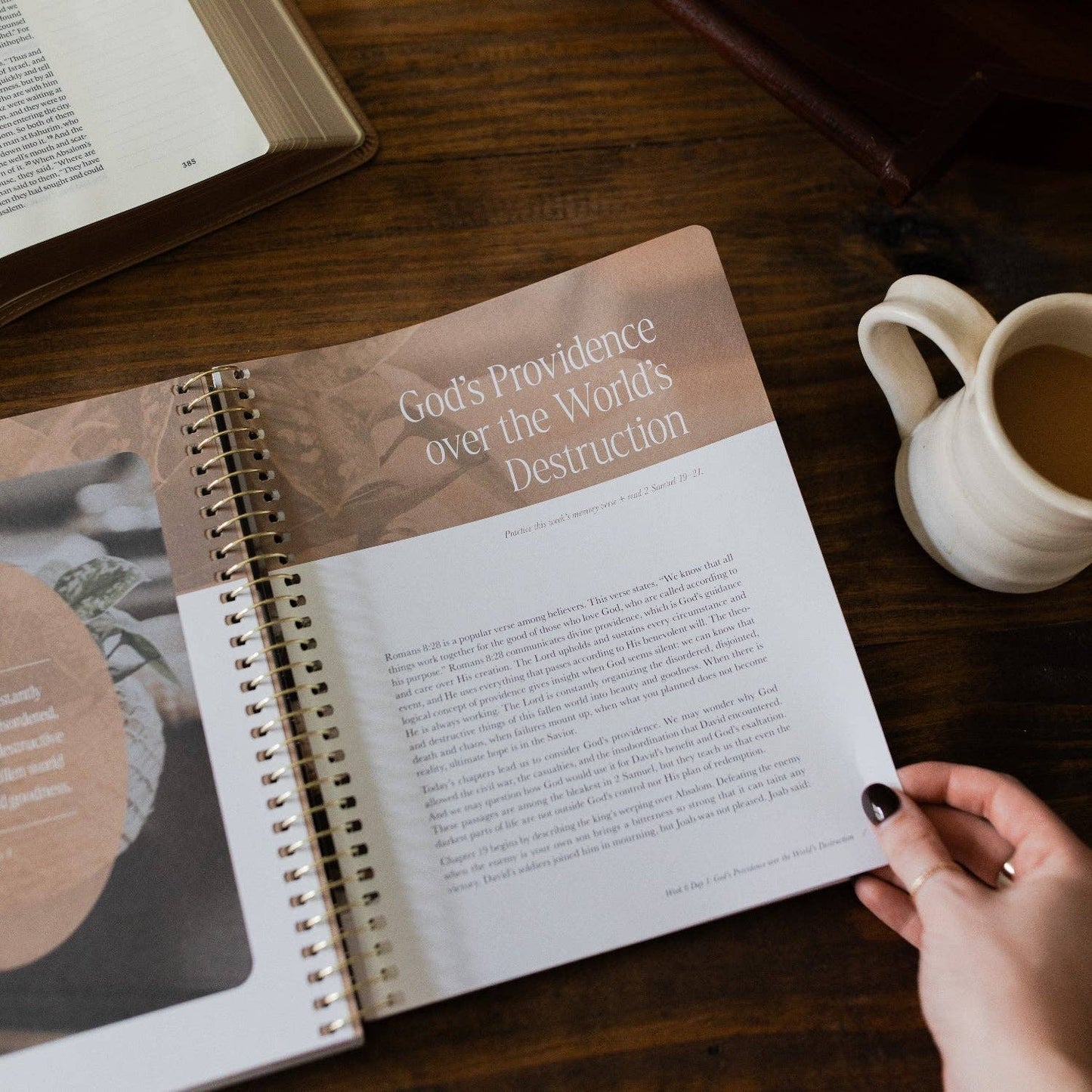 Peaks and Valleys: Learning to Look to Christ in Life's Highs and Lows | A Study on the Life of David