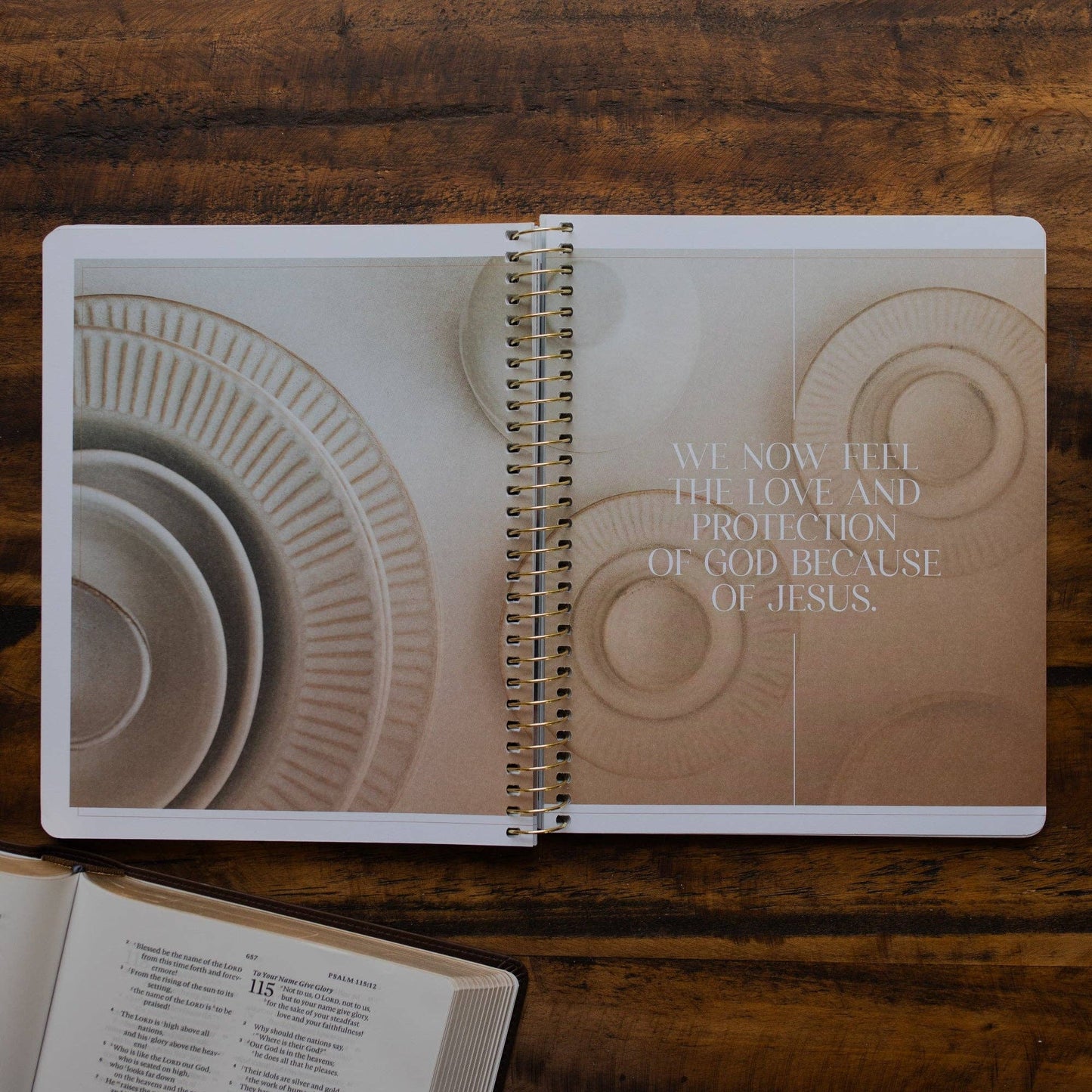 Eden to Eternity | Chronological Bible Study | Volume 2 (Spiral Bound)