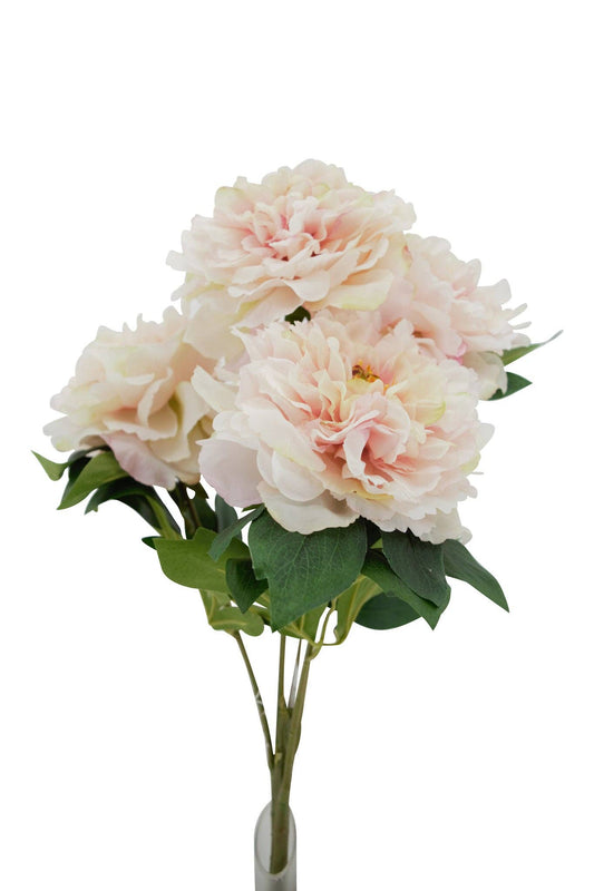 20" Peony Bush, Pink