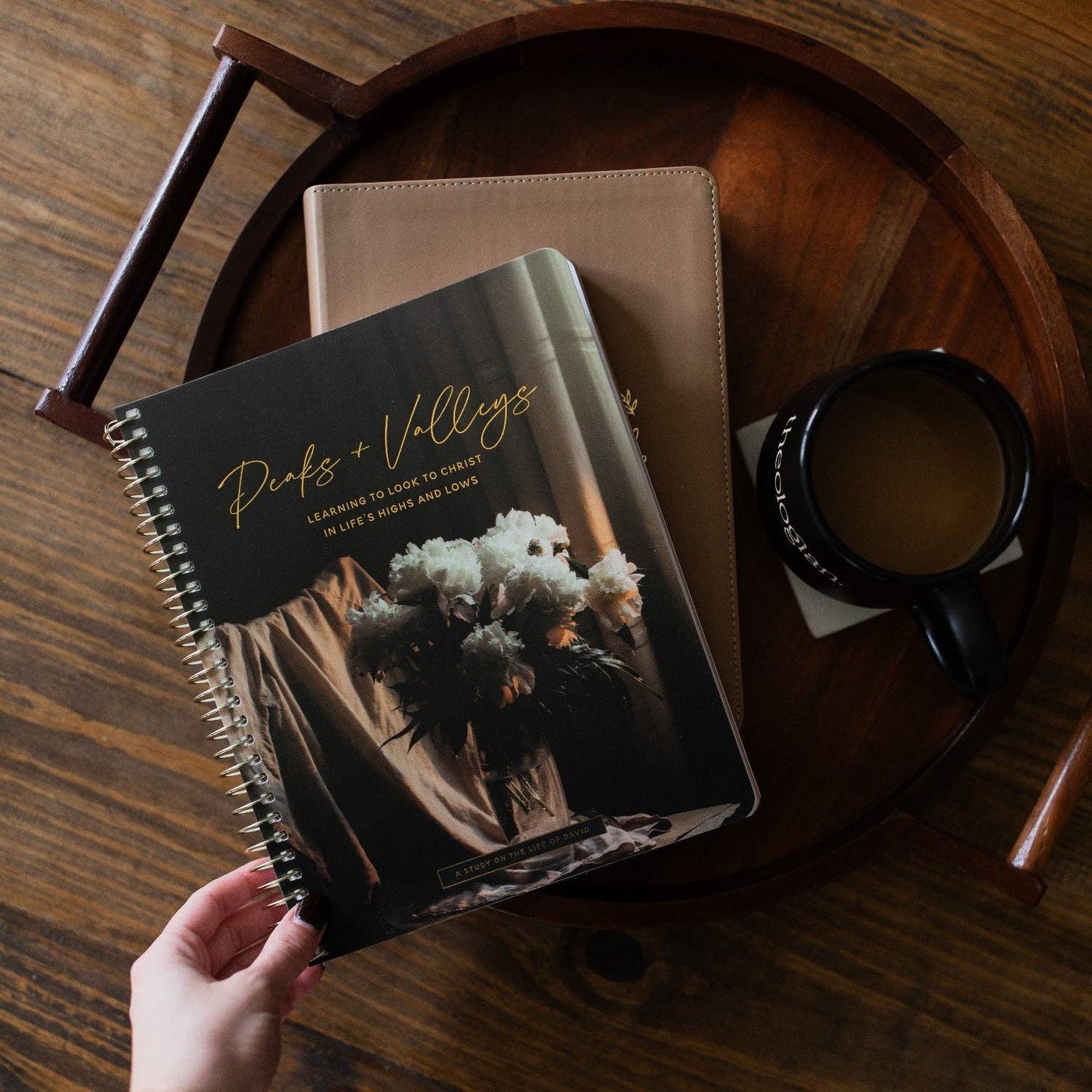 Peaks and Valleys: Learning to Look to Christ in Life's Highs and Lows | A Study on the Life of David