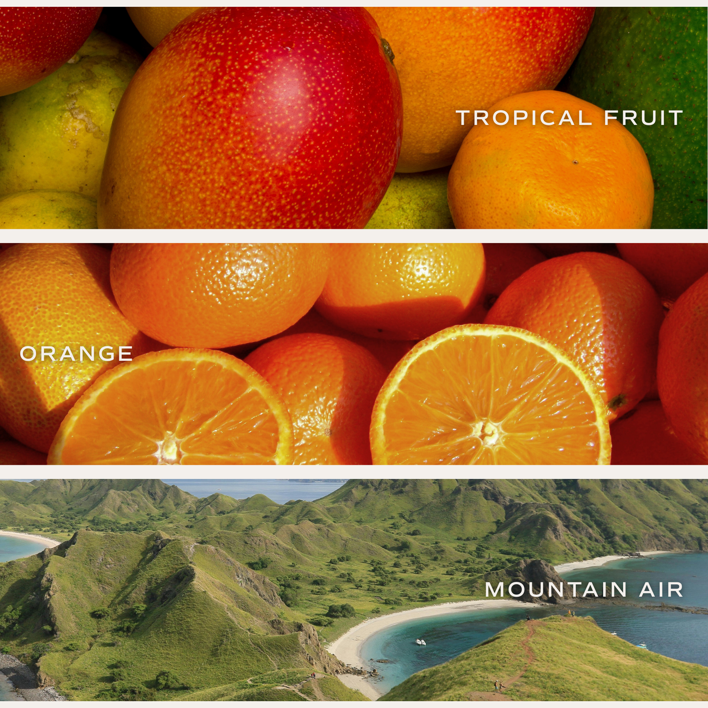 XOXO 15 oz Soy Candle, Matte Jar