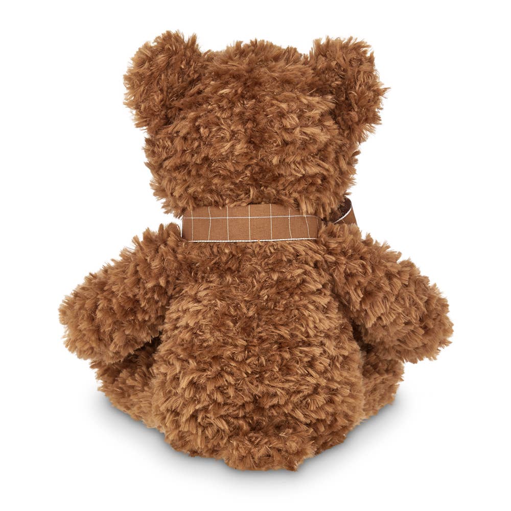 Lil' Reggie the Teddy Bear
